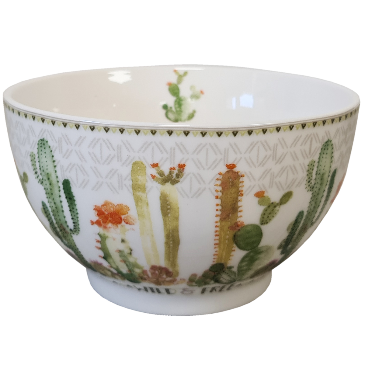 Bol Collection Alo en Porcelaine - Cactus