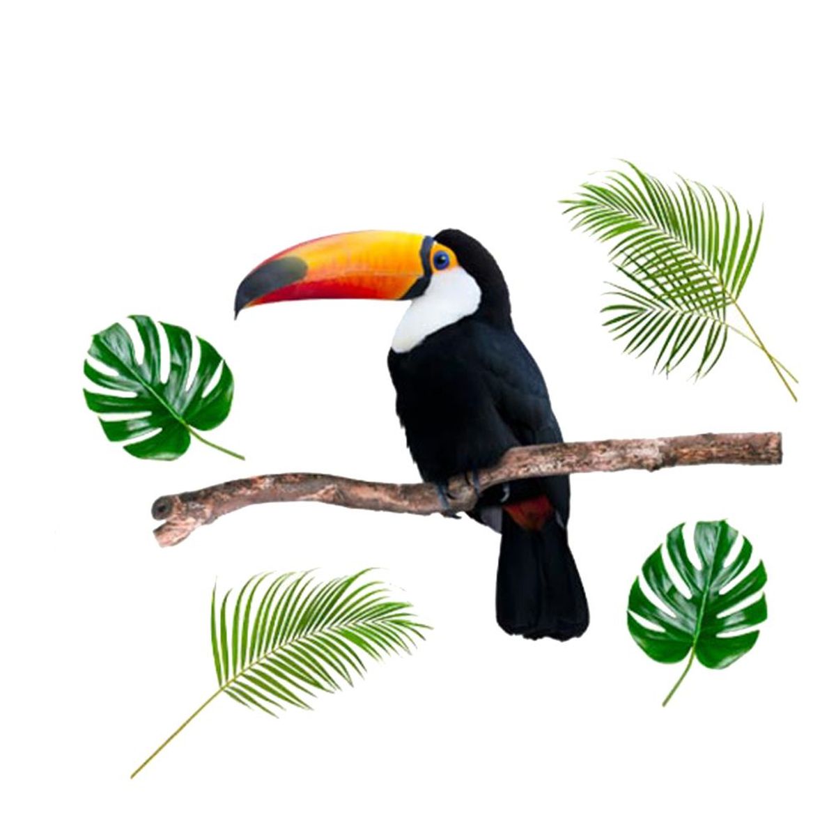 Sticker mural Toucan - planche de 6 pices - 65.6 x 77.3 cm