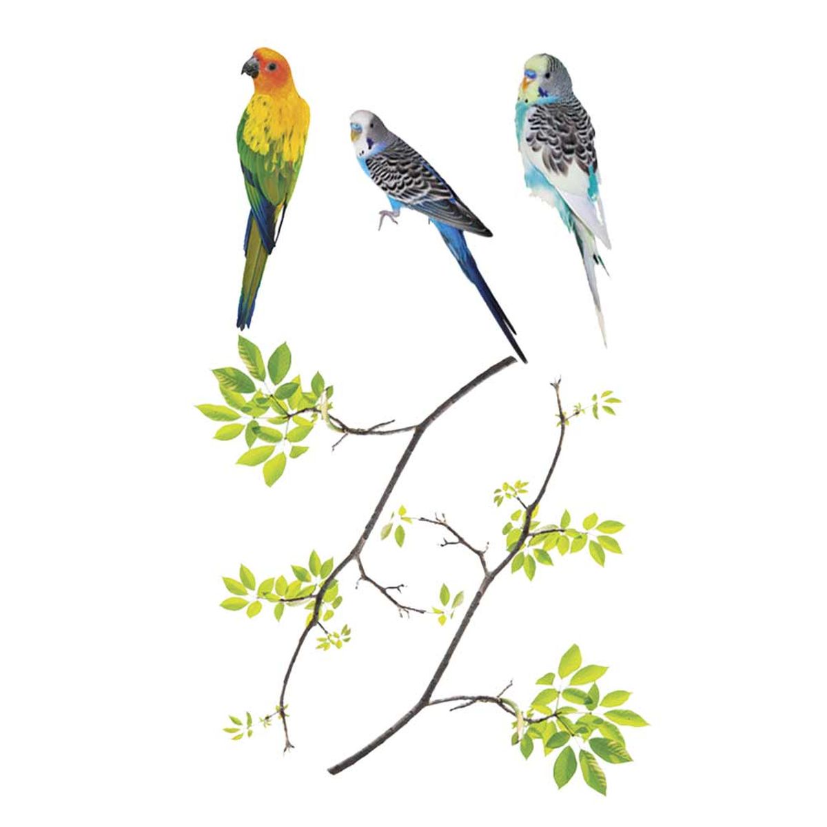 Stickers de vitres Oiseaux sur branches