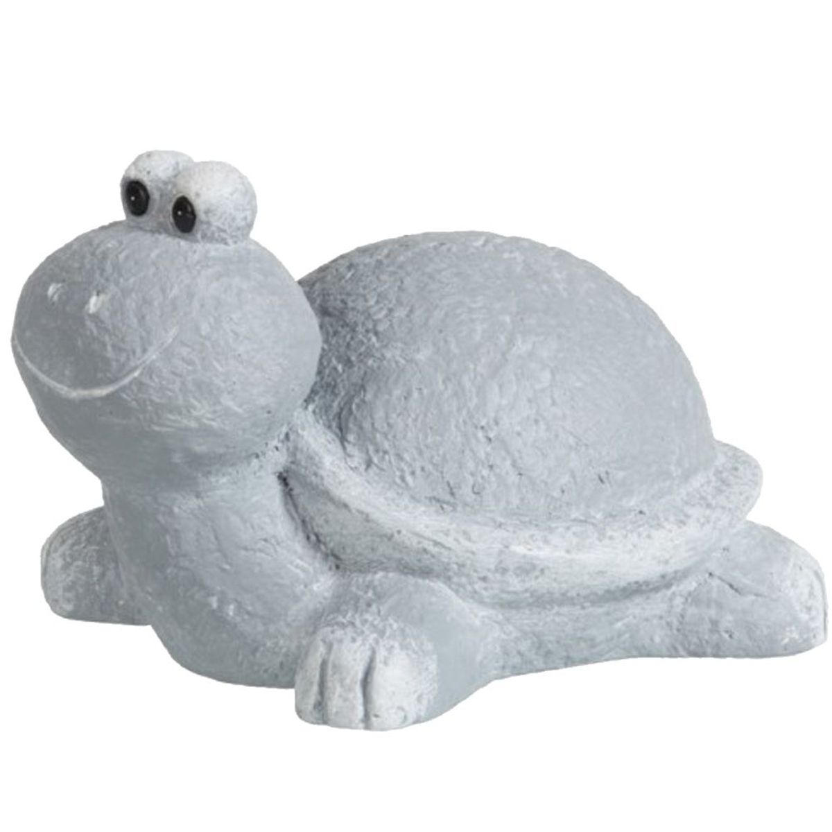 Tortue de Magnsie grise 29 cm