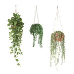 Sticker Dcoration Murale - Suspensions de Plantes