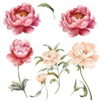 Sticker dcoration murale fleurs pivoines rose